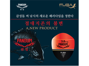 펜덤 웹